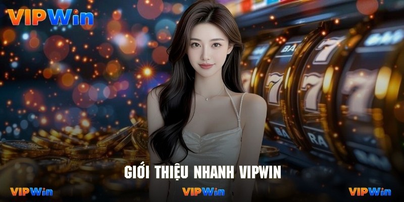Giới thiệu nhanh về sự thành lập của thương hiệu Vipwin